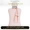 Parfums de Marly - Delina Parfums for Women