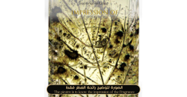 Inspired Al-Jazeera Perfumes