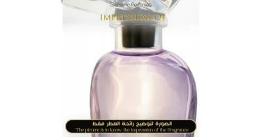 Symphony-375x196w-9433f74d.jpg