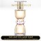 Yves Saint Laurent - for Manifesto L Eclat for Women