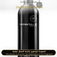 Montale - Steam Aoud for Unisex Montale - Steam Aoud for Unisex