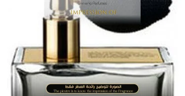 L`Eau Ambree Prada Perfume Oil for women (Generic Perfumes) by www