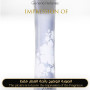 Inspired Giorgio Armani - Code Luna for Women