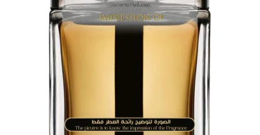 Dior Homme Intense 2011 Christian Dior Perfume Oil for men