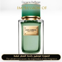 Dolce & Gabbana - Velvet Cypress for Unisex Dolce & Gabbana - Velvet Cypress for Unisex