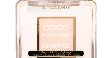 Coco Mademoiselle Chanel Perfume Oil For Women (Generic Perfumes
