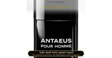 Antaeus Chanel Perfume Oil for men (Generic Perfumes) by www