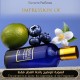 Inspired Montale - Rendez-Vous Chez Harrods for Unisex A++