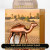 Inspired Lattafa - Art Of Nature I for Unisex A+