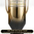 Inspired Invictus Elixir for Man A+