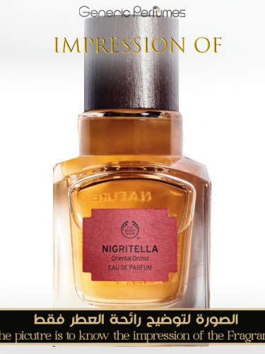 Generic Perfumes | Premium Perfume Oils – Inspired by