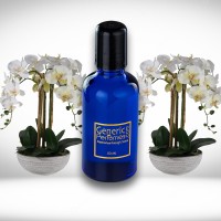 Orchid Perfume Oils Orchid Perfume Oils