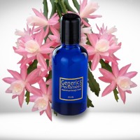 Orchid Cactus Perfume Oils Orchid Cactus Perfume Oils