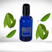 Mango Leaf Perfume Oils Mango Leaf Perfume Oils