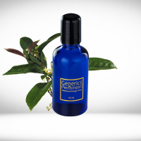 Osmanthus Perfume Oils Osmanthus Perfume Oils