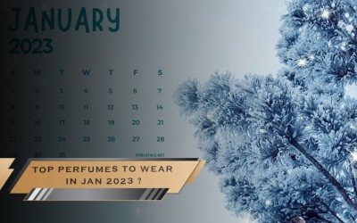 TOP PERFUMES TO WEAR IN JAN 2024