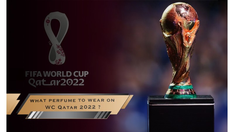 What Perfumes TO Wear on World CUP QATAR 2022/ FIFA World CUP 2022 Perfumes Guide